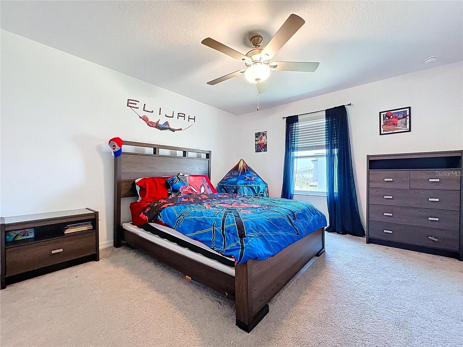 Image 30 of 40 For 32046 Powderpuff Mimosa Drive