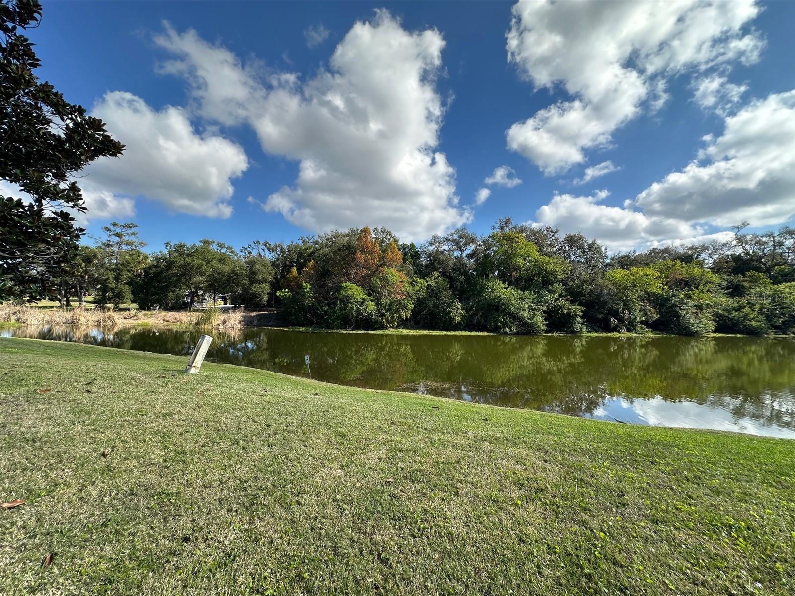 Image 24 of 25 For 1420 Water View Drive W 201