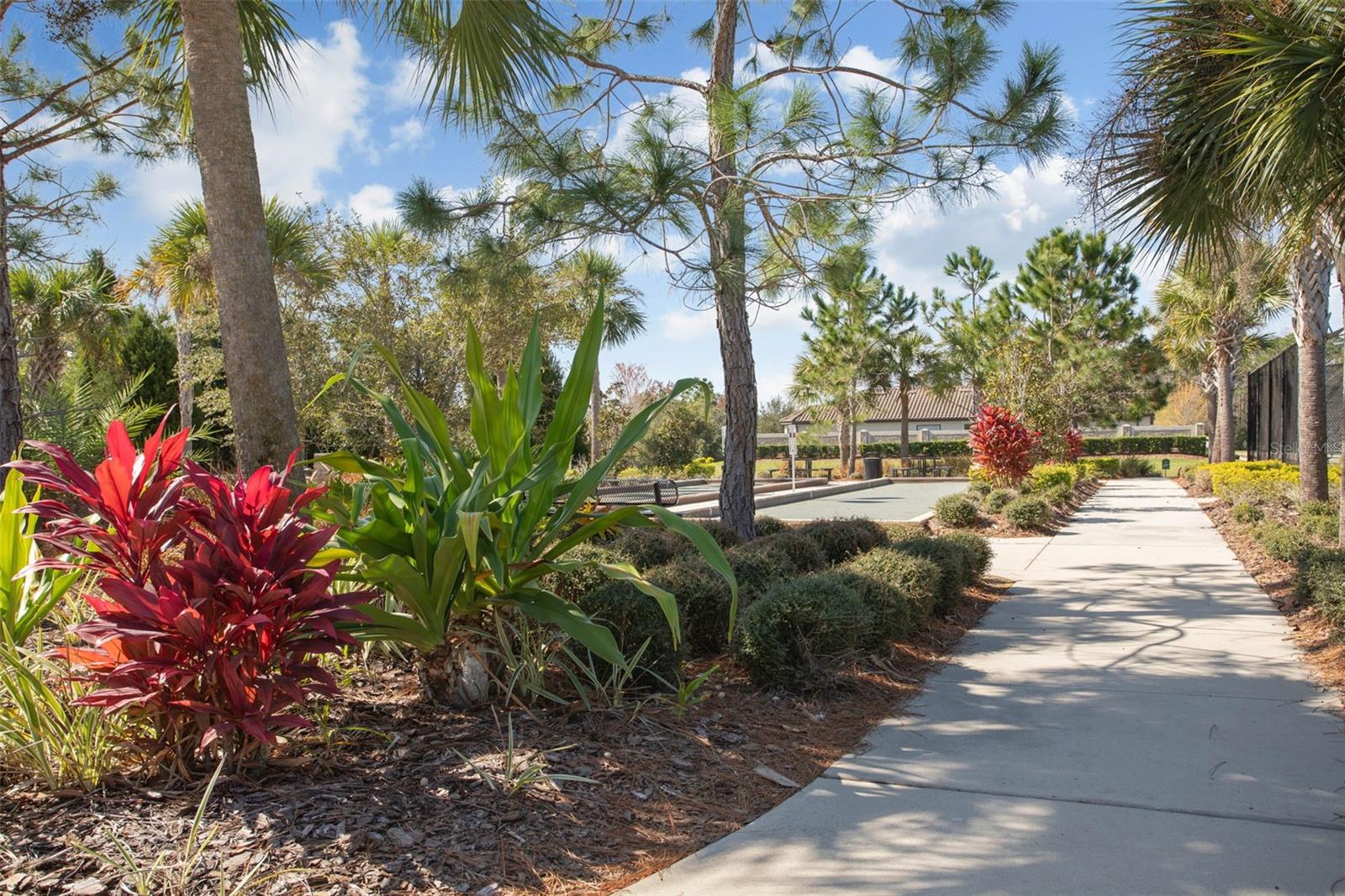 Image 64 of 67 For 8530 Grand Alberato Road