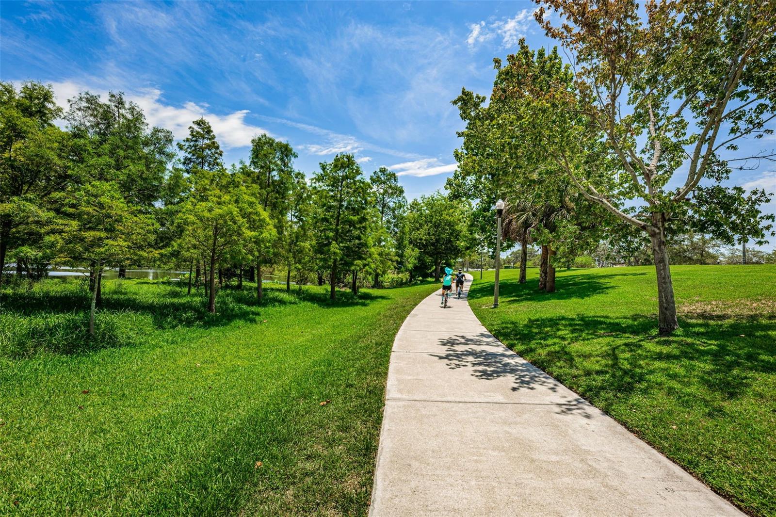 Image 41 of 43 For 2015 Park Street N