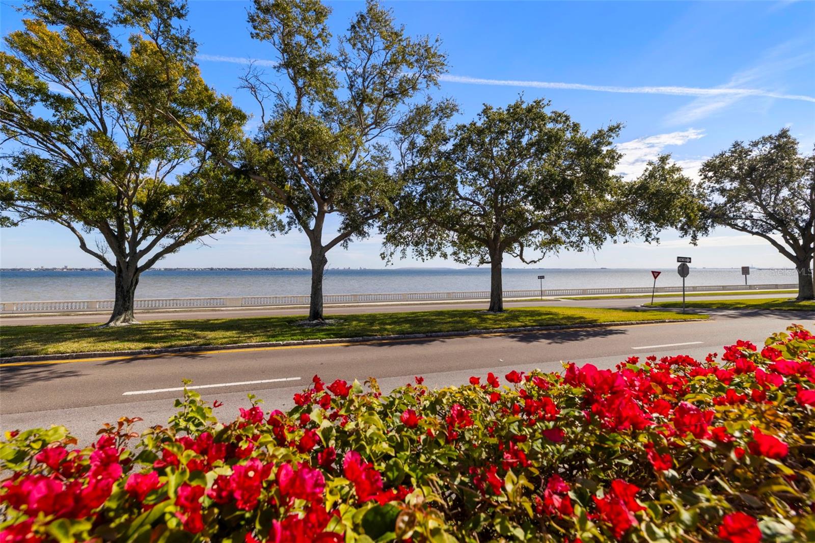 Image 16 of 26 For 4015 Bayshore Boulevard 10d