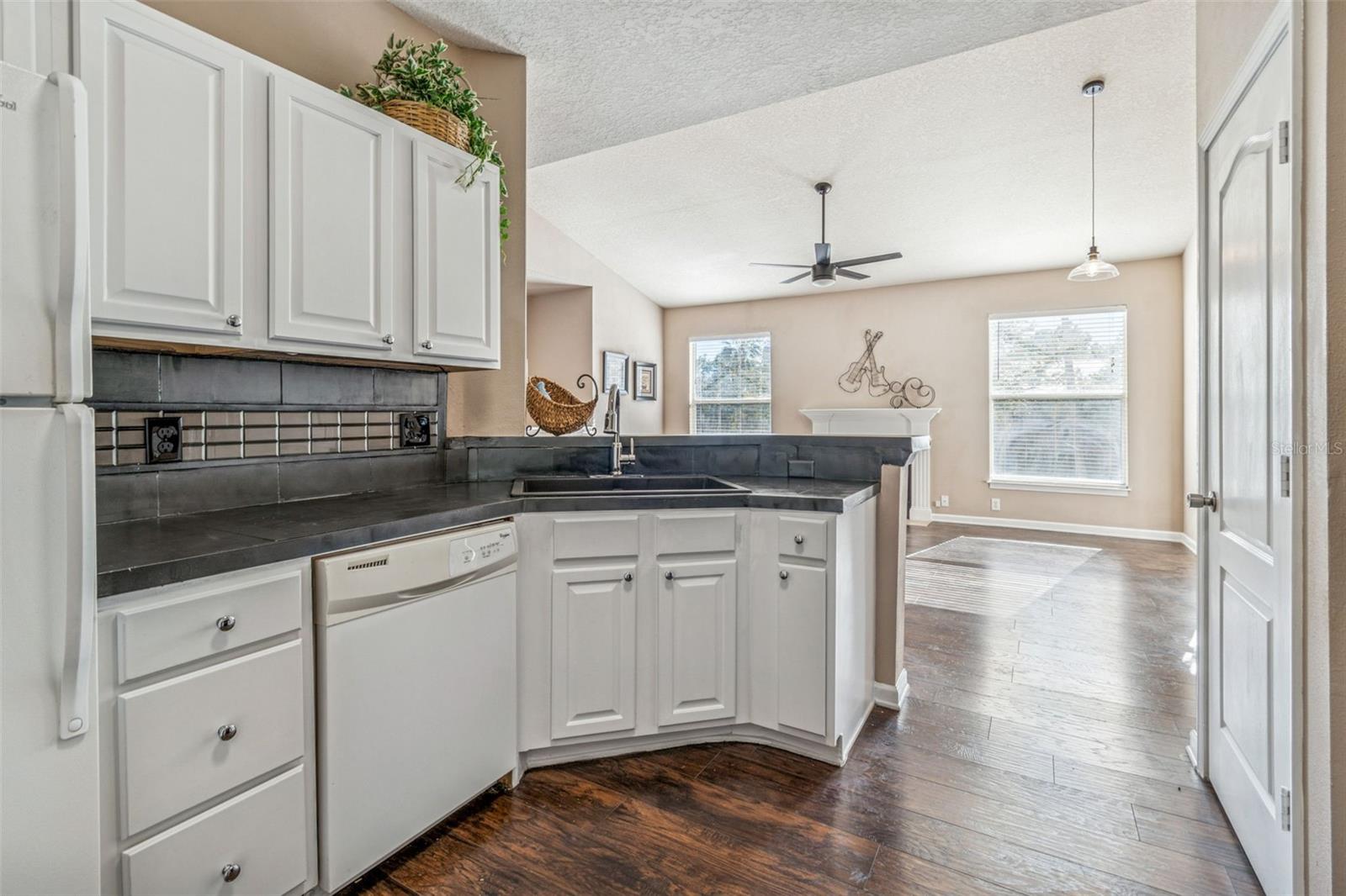 Image 11 of 55 For 10434 Villa View Circle