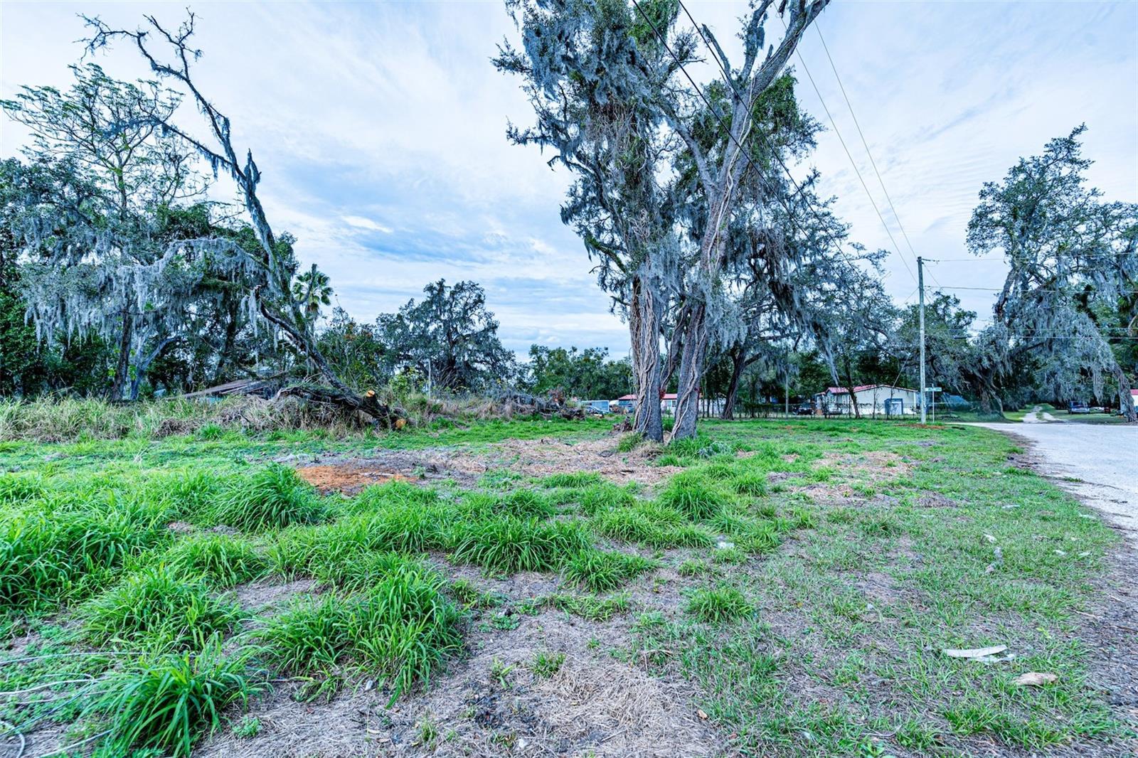 Image 4 of 7 For 9323 Ripley Road B