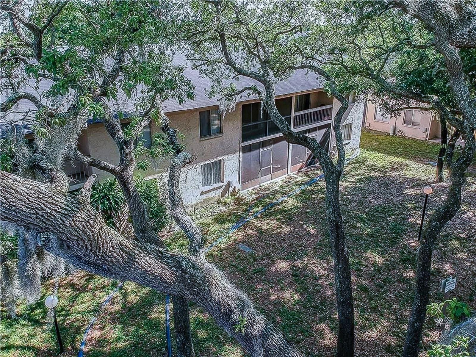 Details for 7537 Pitch Pine Circle N C, TAMPA, FL 33617