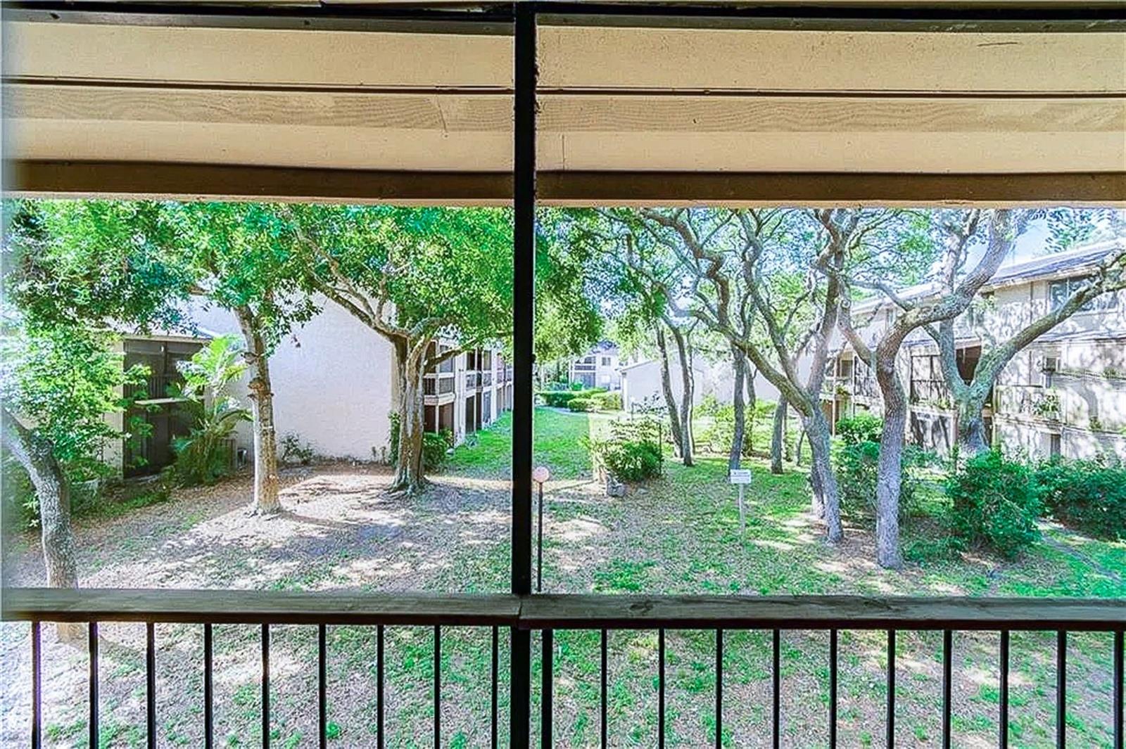 Image 8 of 29 For 7537 Pitch Pine Circle N C