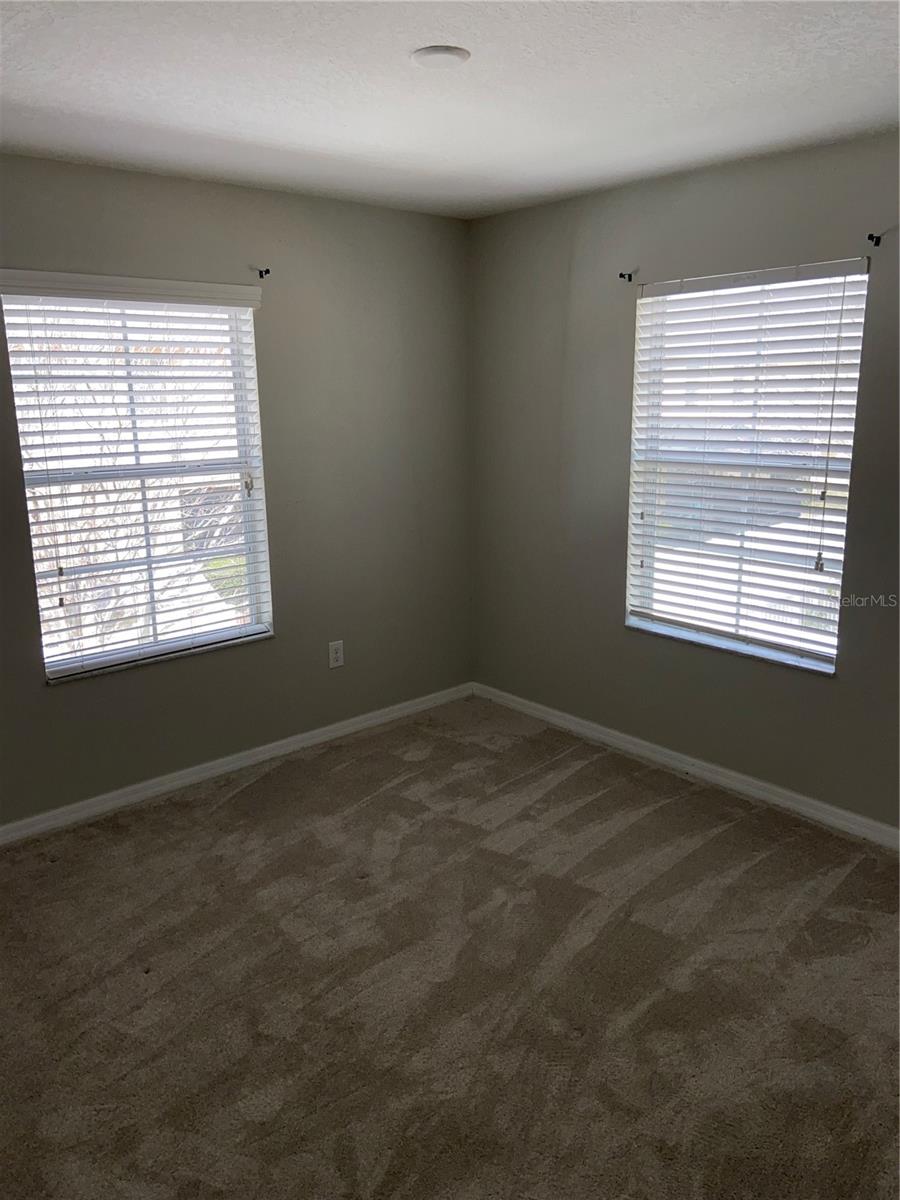 Image 15 of 19 For 9798 Trumpet Vine Loop