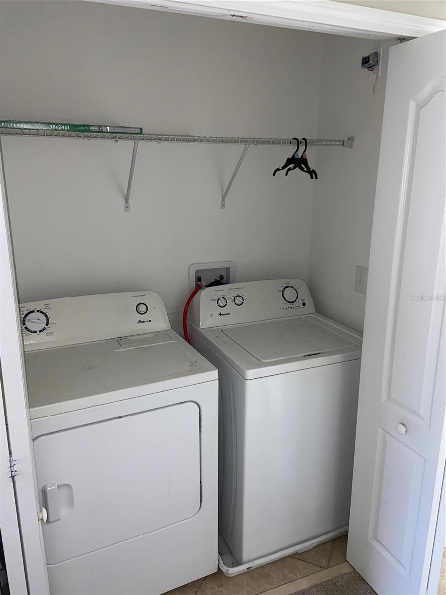 Image 16 of 19 For 9798 Trumpet Vine Loop