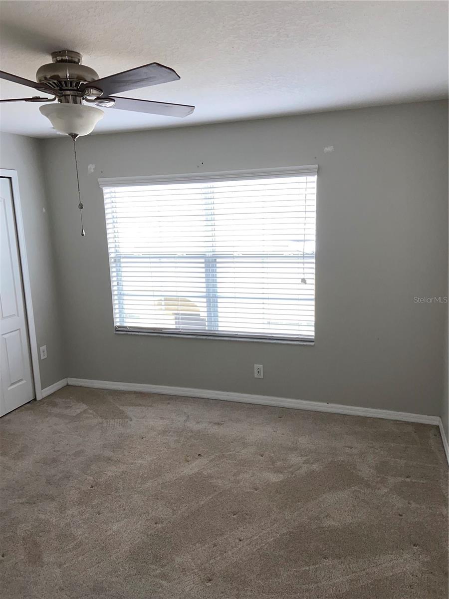 Image 19 of 19 For 9798 Trumpet Vine Loop