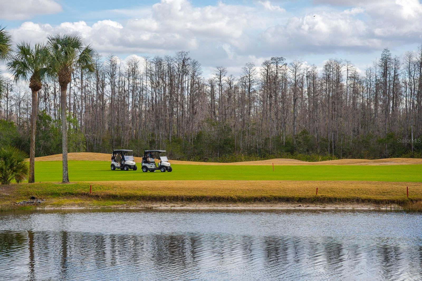 Image 48 of 55 For 20520 Homossasa Court