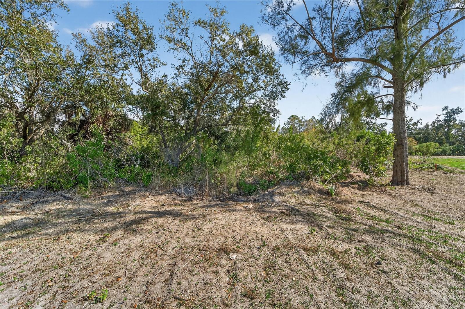 Listing photo id 21 for 819 Golf And Sea Boulevard