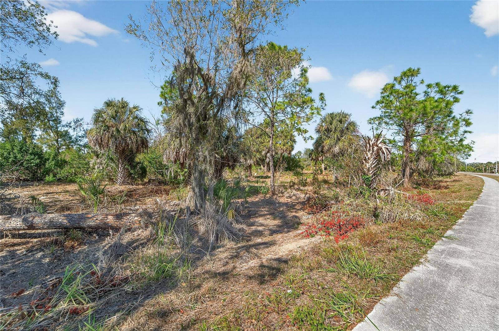 Listing photo id 26 for 819 Golf And Sea Boulevard