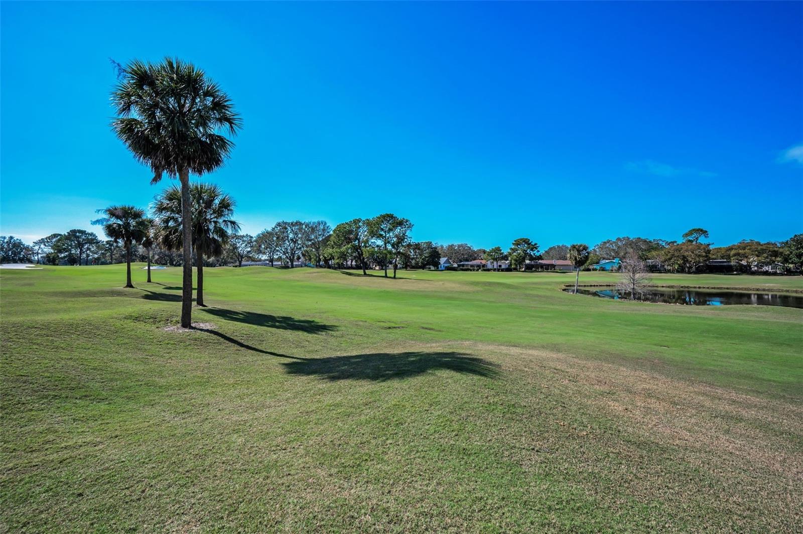 Image 43 of 73 For 3118 Eagles Landing Circle W