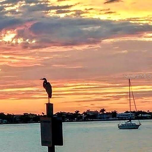 Image 38 of 68 For 100 Bluff View Drive 604c