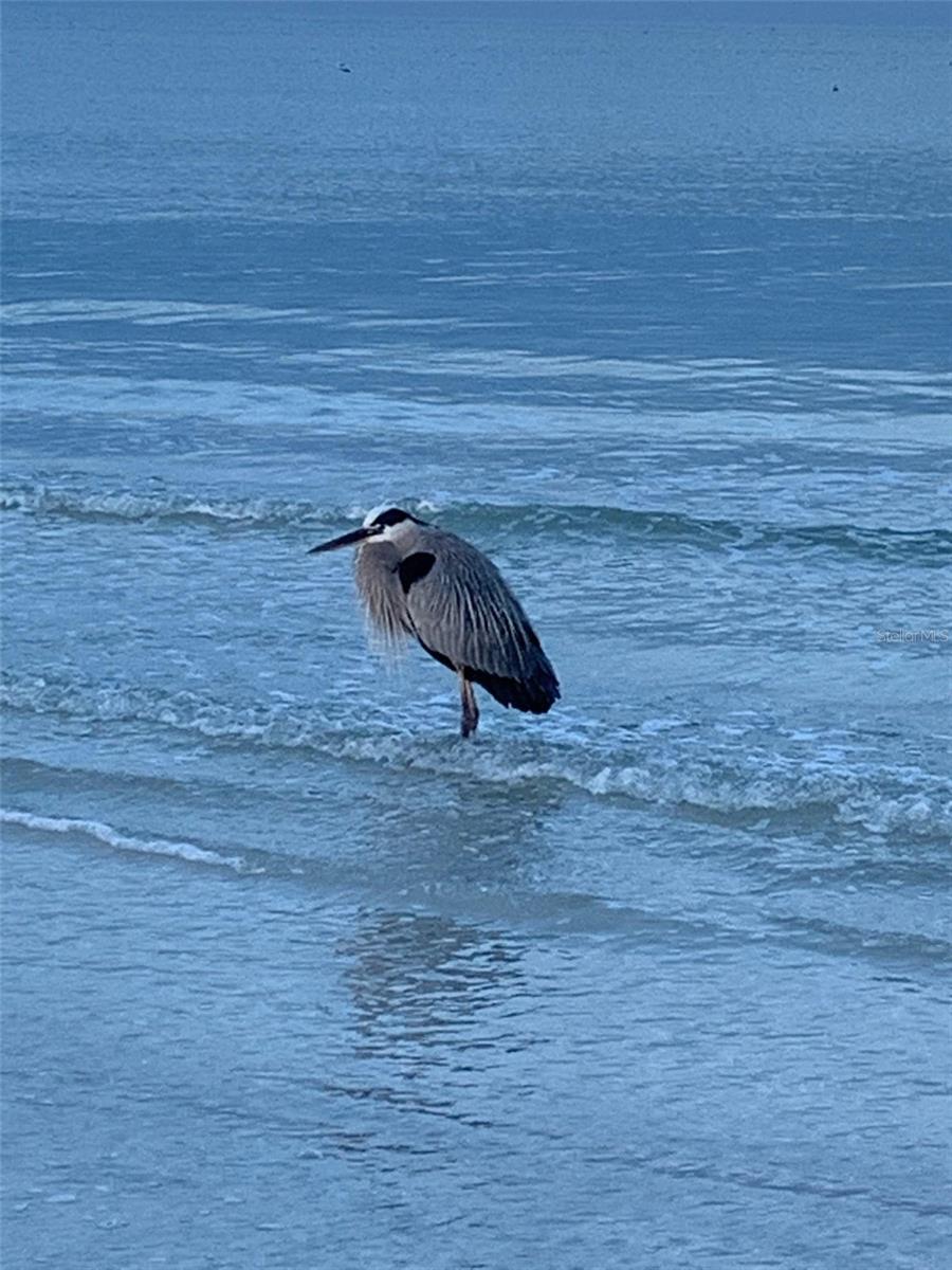 Image 60 of 68 For 100 Bluff View Drive 604c