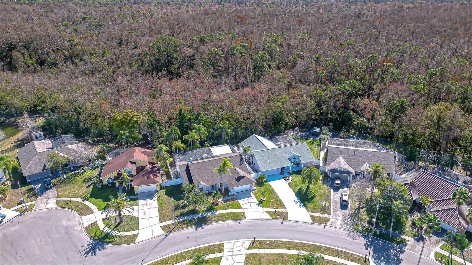 Image 32 of 40 For 11718 Spanish Lake Drive