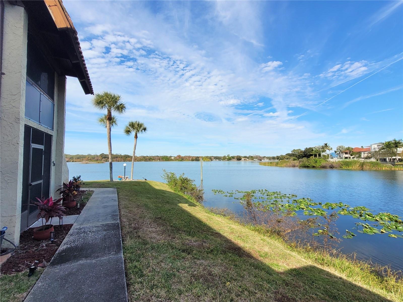 Image 23 of 33 For 1005 Bayshore Boulevard 102