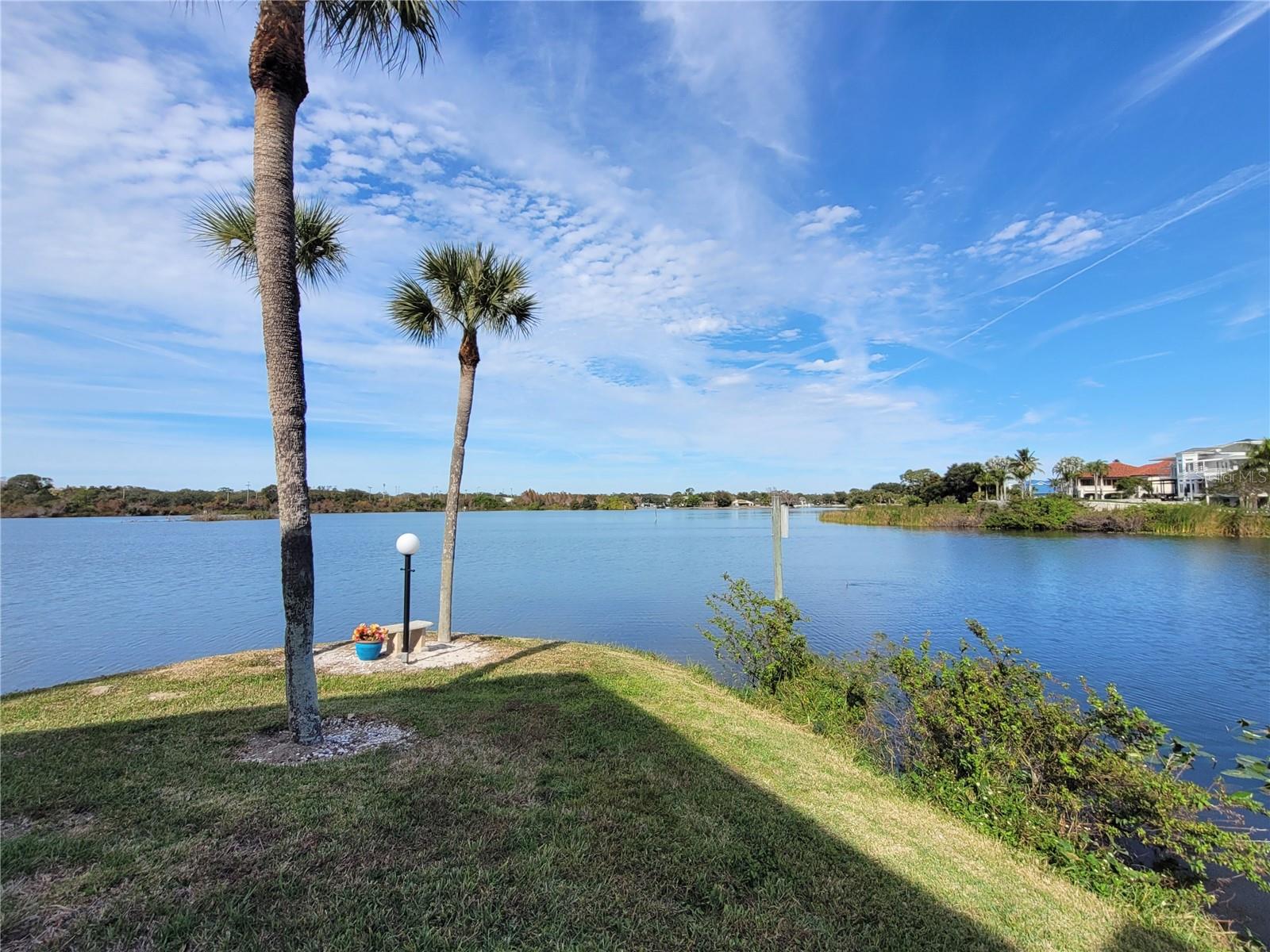 Image 24 of 33 For 1005 Bayshore Boulevard 102