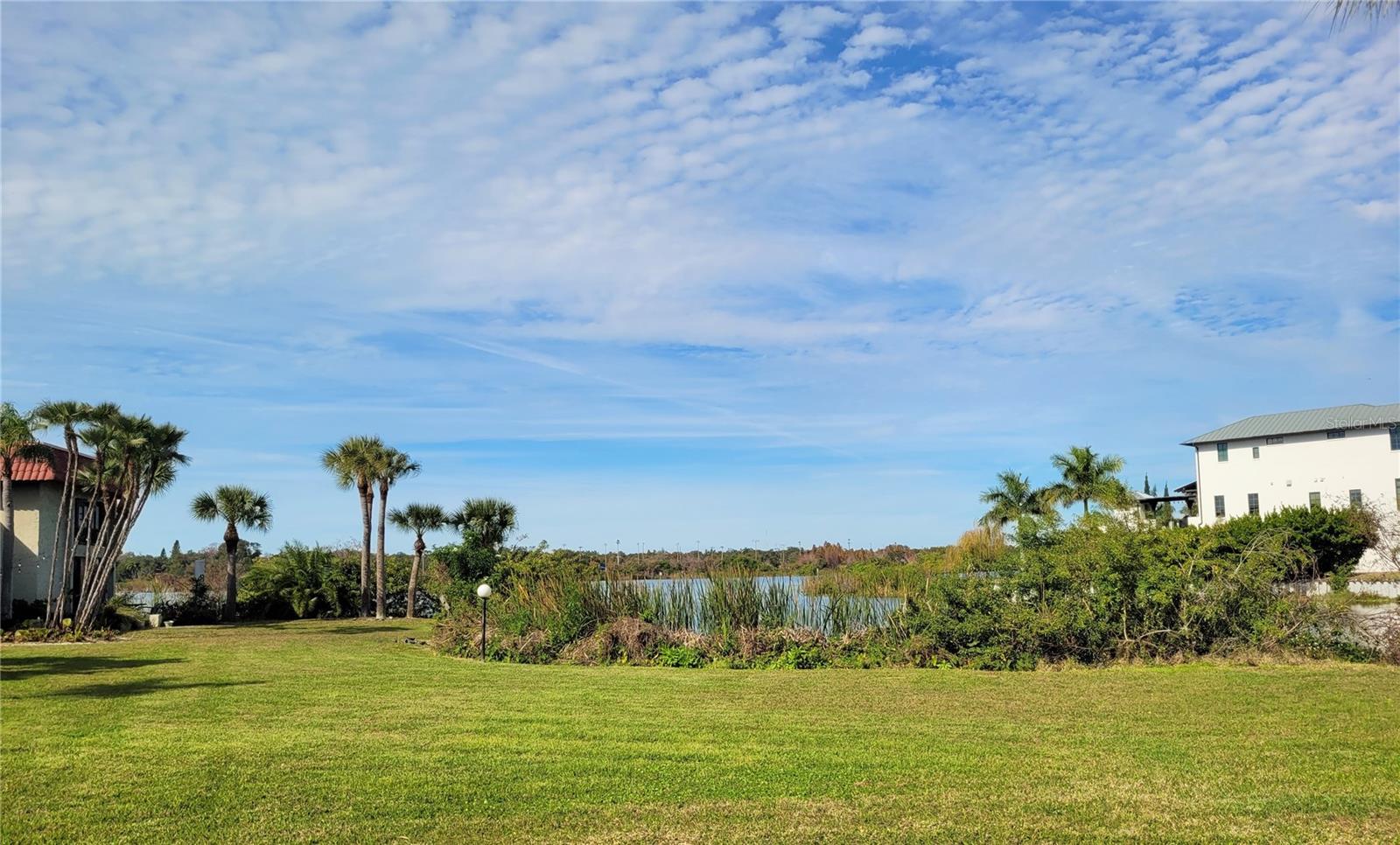 Image 25 of 33 For 1005 Bayshore Boulevard 102