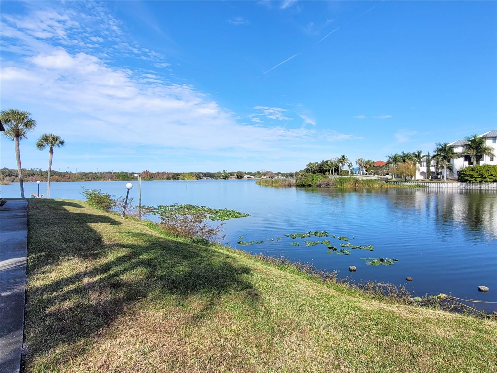 Image 31 of 33 For 1005 Bayshore Boulevard 102