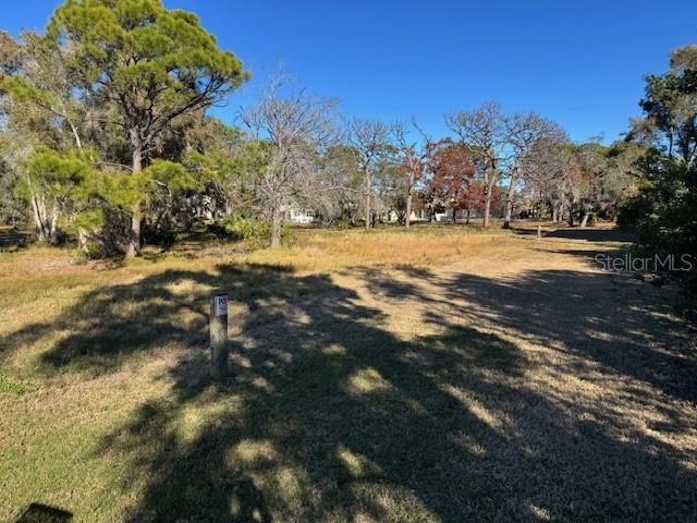 Listing photo id 18 for 303 Tarpon Point