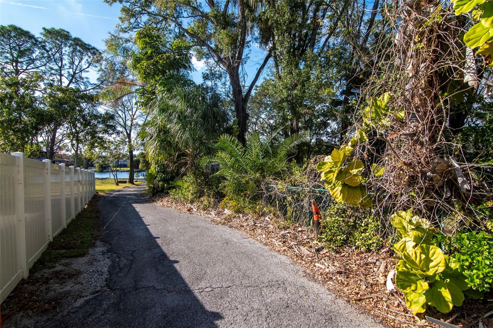 Listing photo id 43 for 3306 Perry Avenue