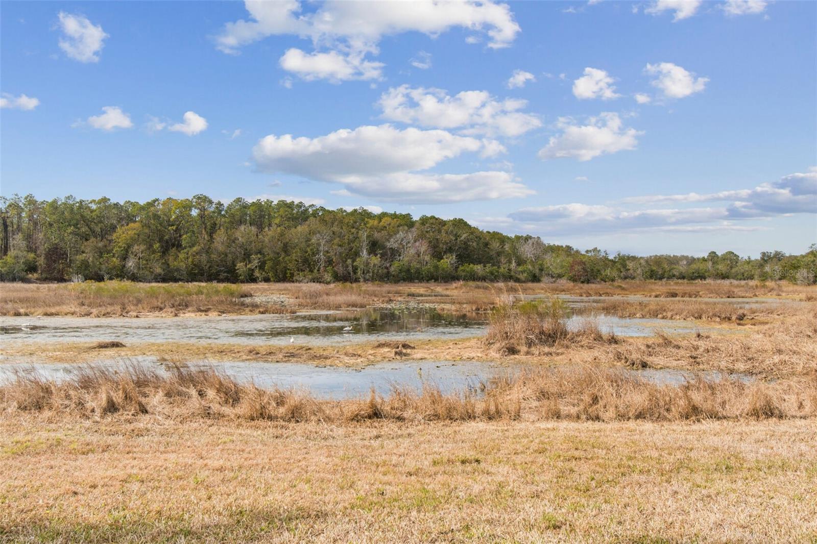 Image 96 of 97 For 12147 Quail Ridge Drive
