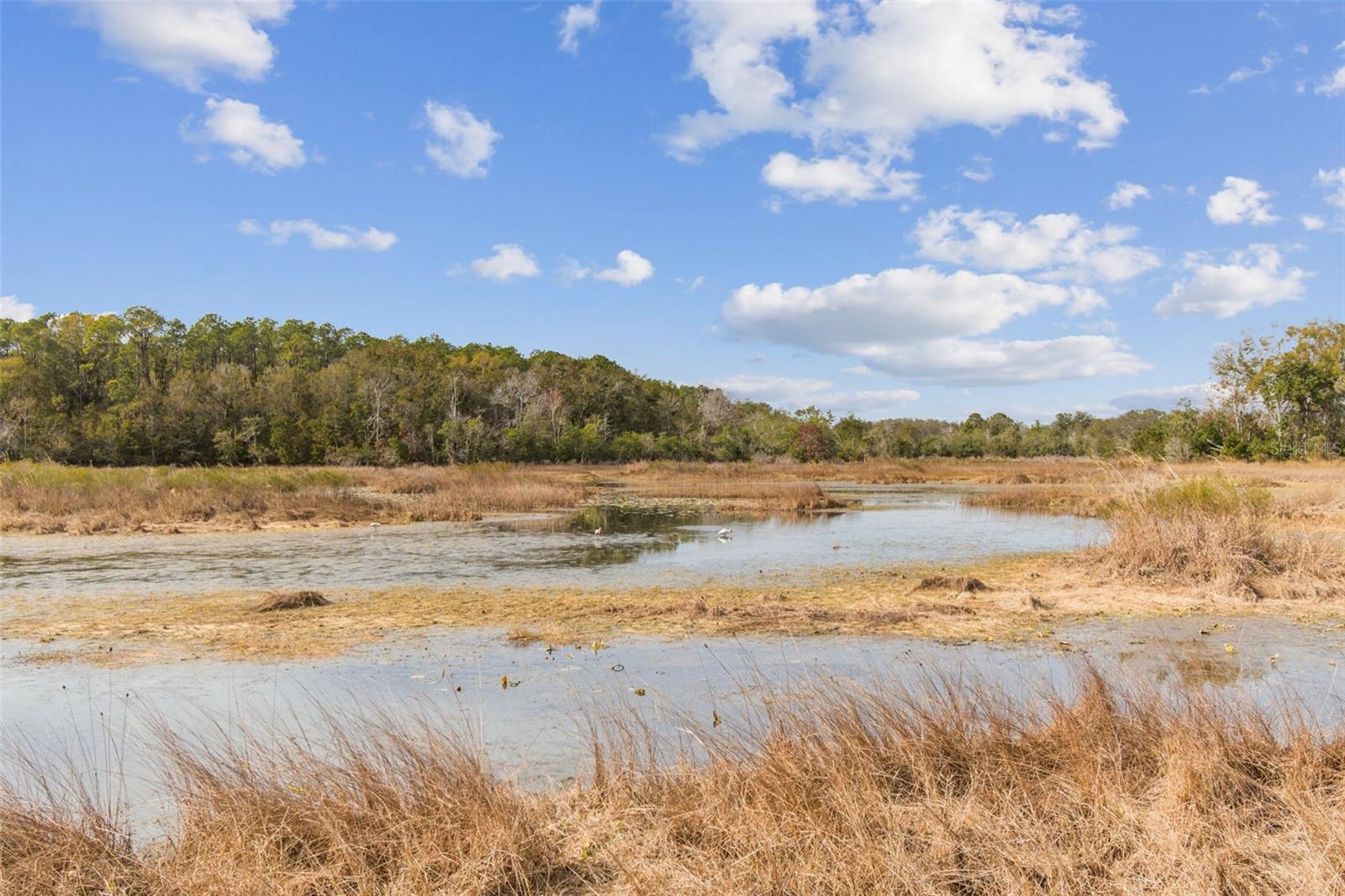 Image 97 of 97 For 12147 Quail Ridge Drive