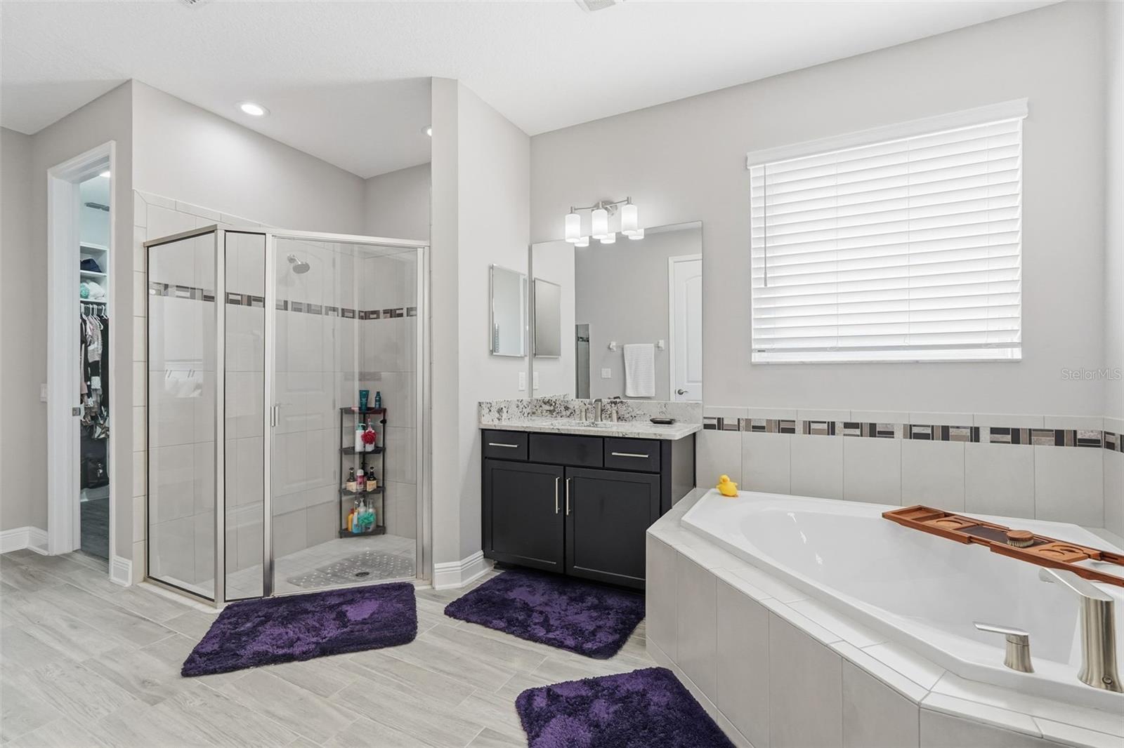 Listing photo id 27 for 11002 Sundrift Drive