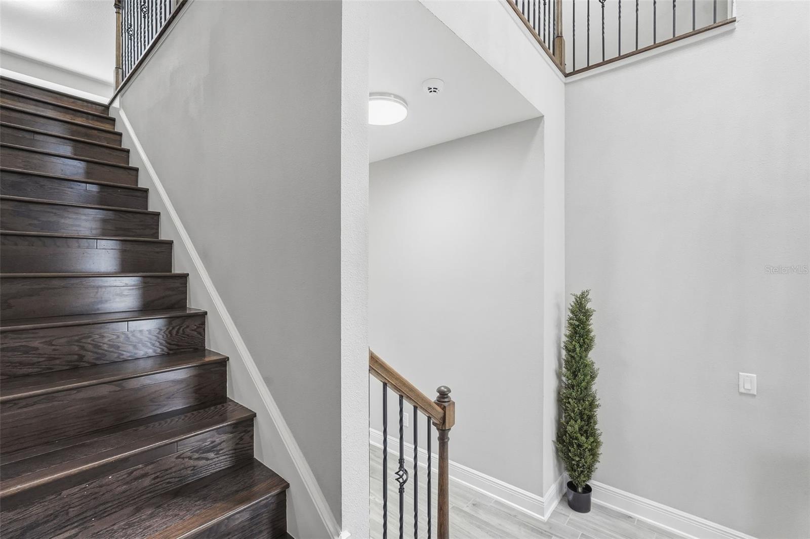 Listing photo id 31 for 11002 Sundrift Drive