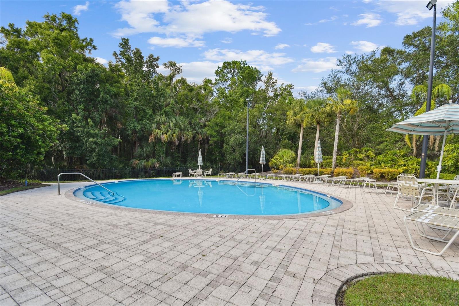 Listing photo id 79 for 11002 Sundrift Drive