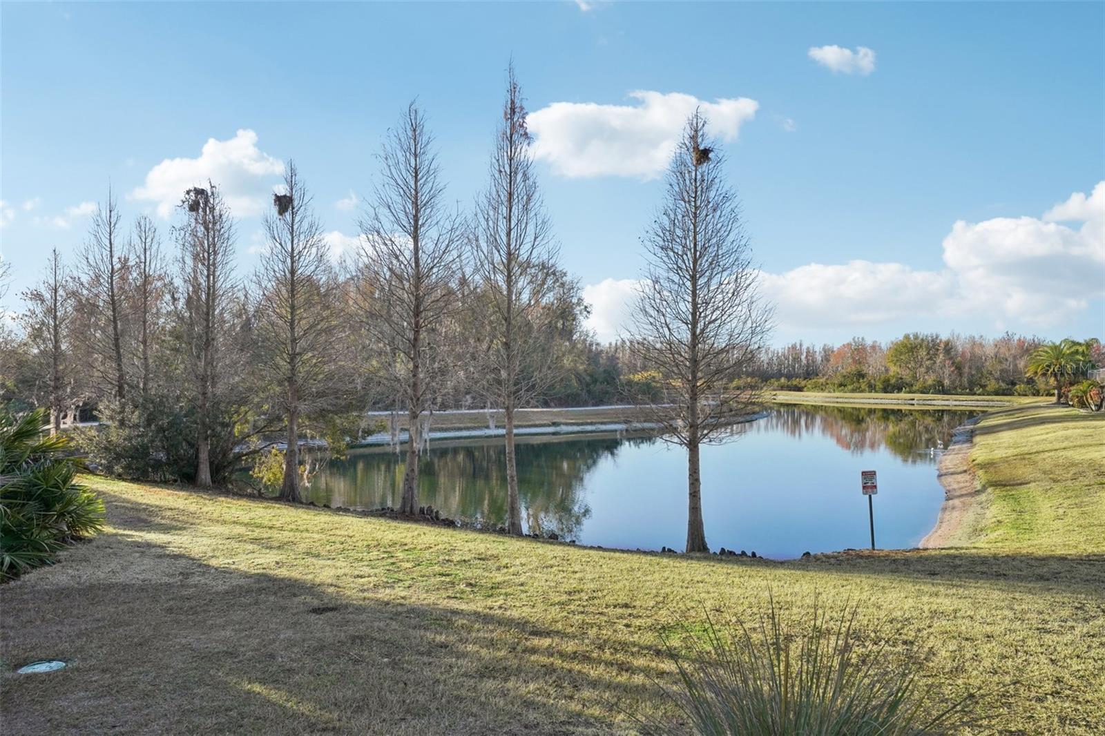 Image 46 of 48 For 32451 Natural Bridge Road