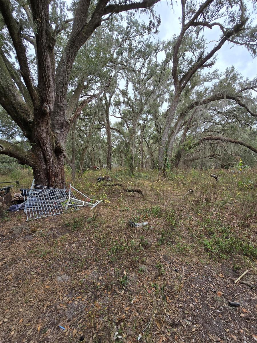 Image 5 of 5 For 9046 12th Street