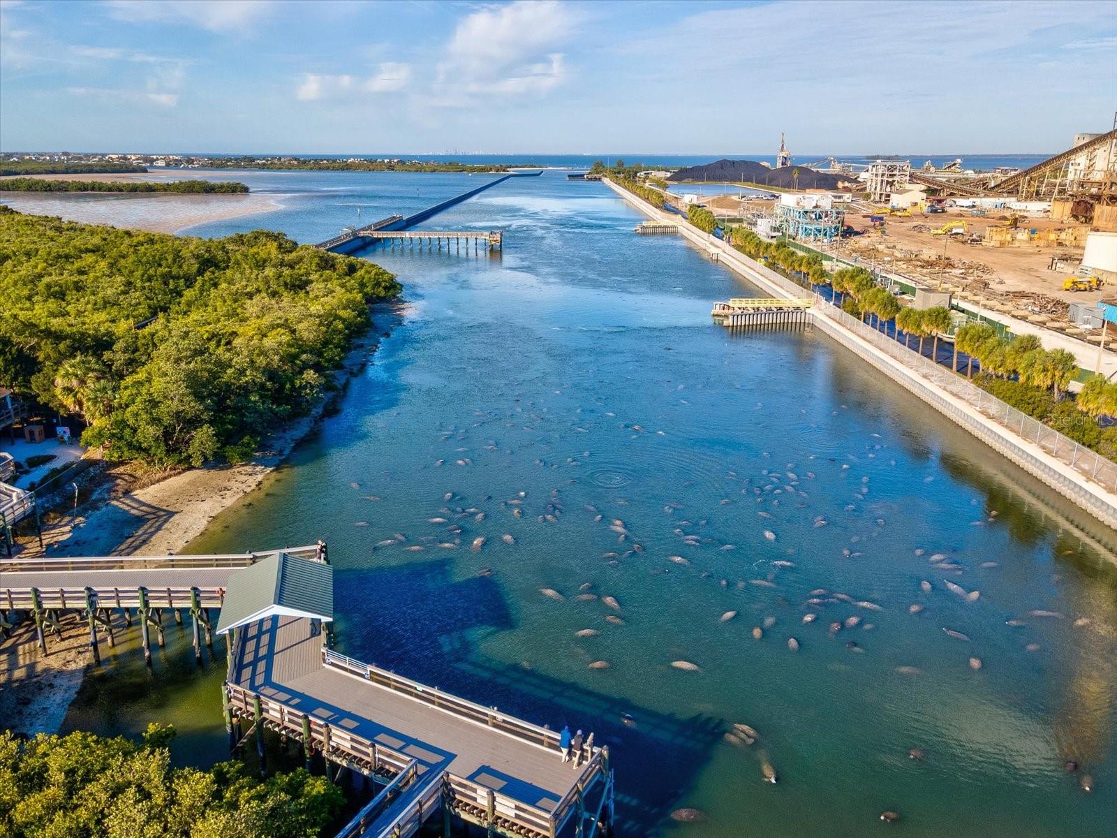 Image 67 of 71 For 617 Kingston Court