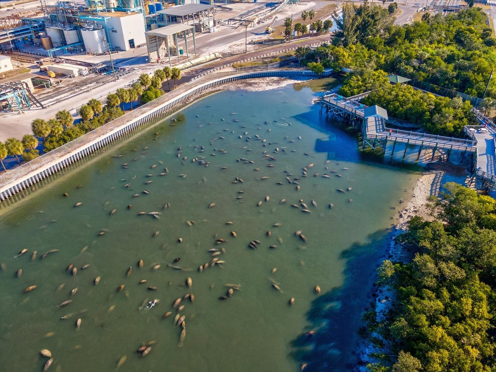 Image 69 of 71 For 617 Kingston Court