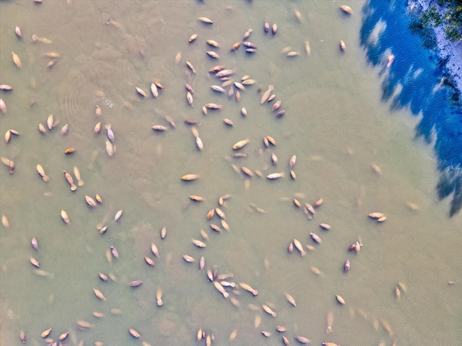 Image 71 of 71 For 617 Kingston Court