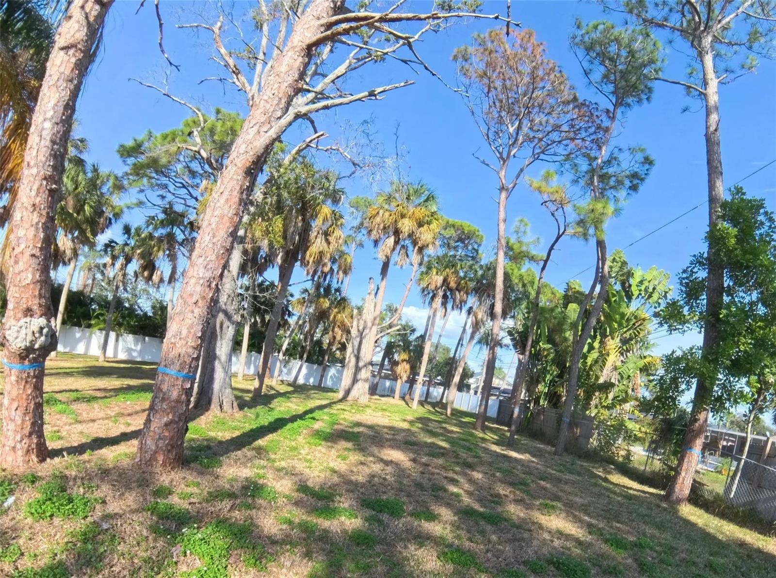 Image 12 of 14 For 1649 Dakota Avenue Ne