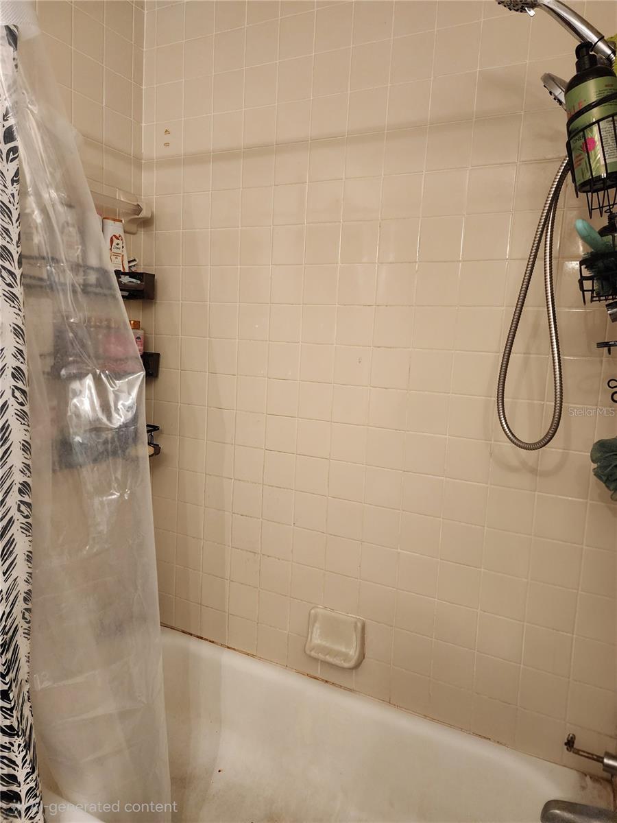 Image 14 of 19 For 804 Parsons Avenue