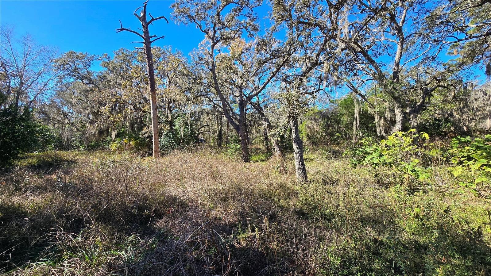 Image 2 of 25 For 15609 Becky Lane