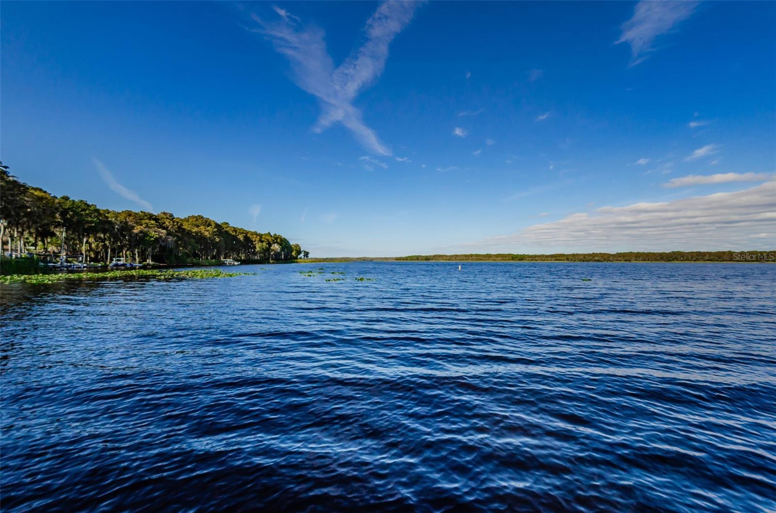 Image 63 of 76 For 1563 Wicklow Drive