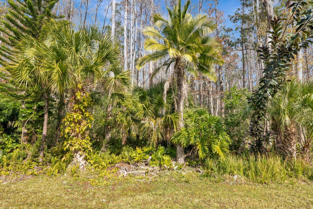 Listing photo id 30 for 3113 Lake Pine Way C