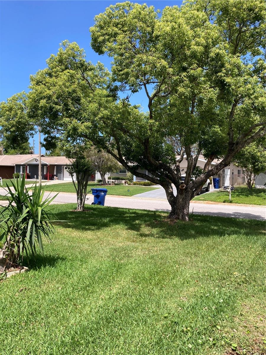 Image 11 of 34 For 7628 Valley Court