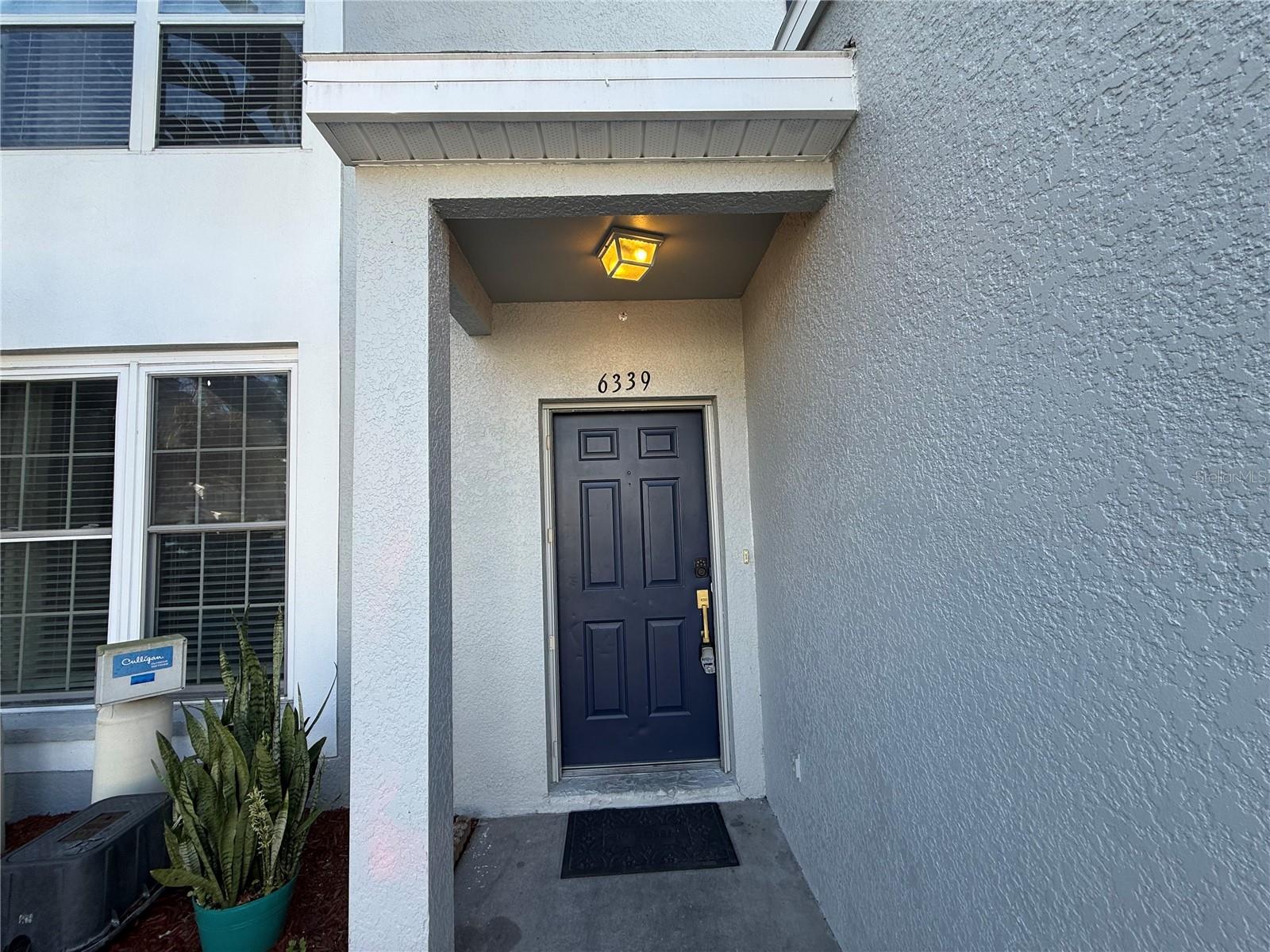 Image 2 of 20 For 6339 Osprey Lake Circle