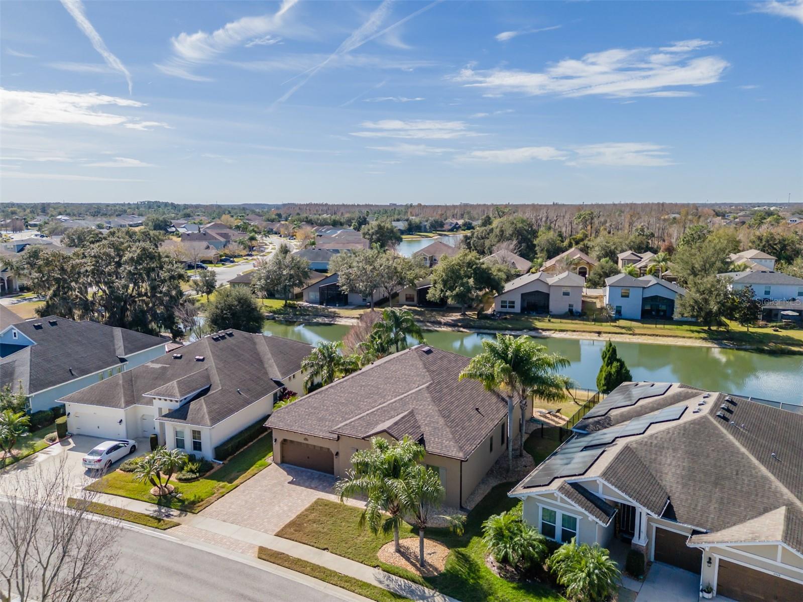 Image 39 of 65 For 4950 Diamonds Palm