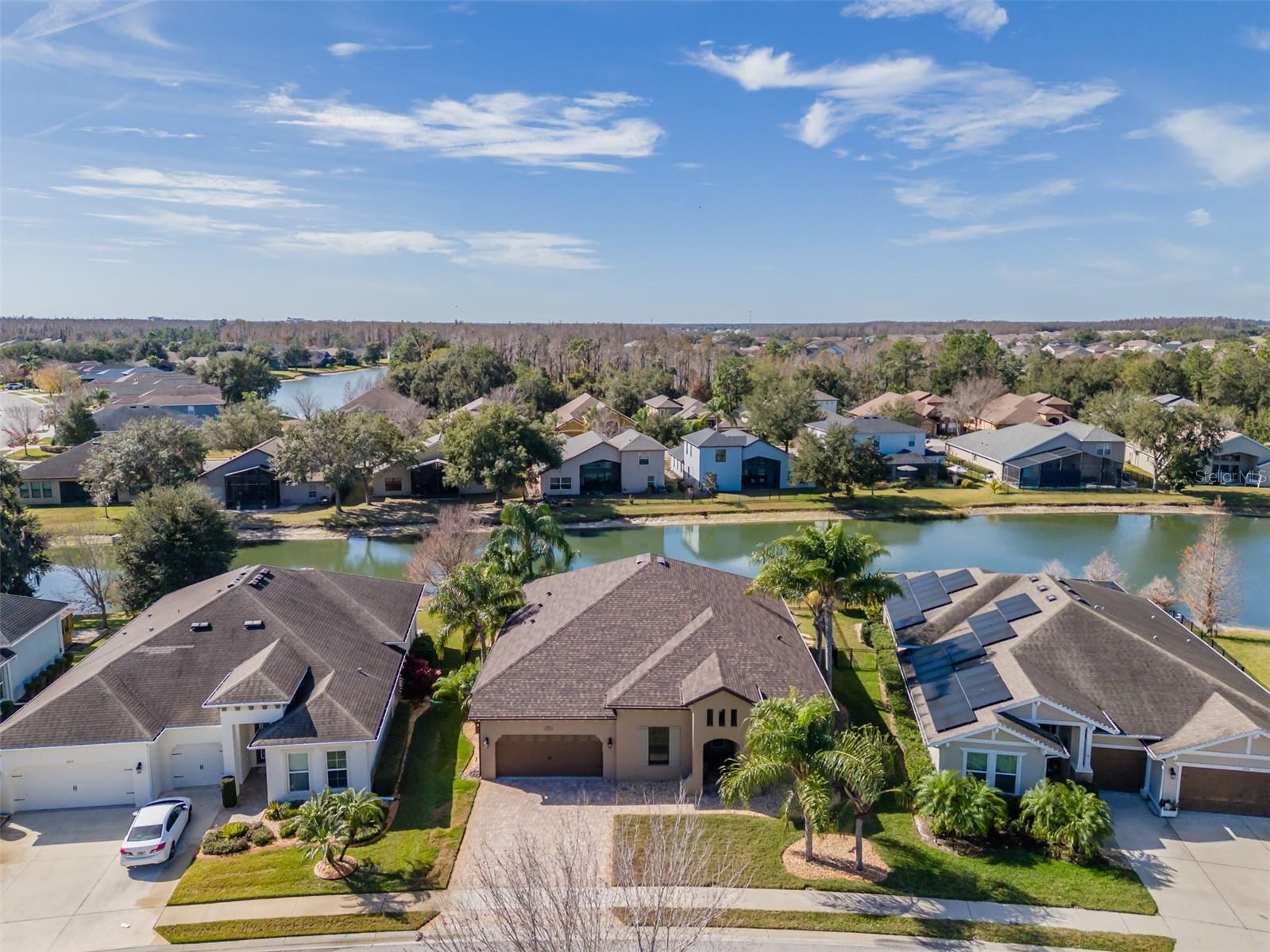 Image 40 of 65 For 4950 Diamonds Palm