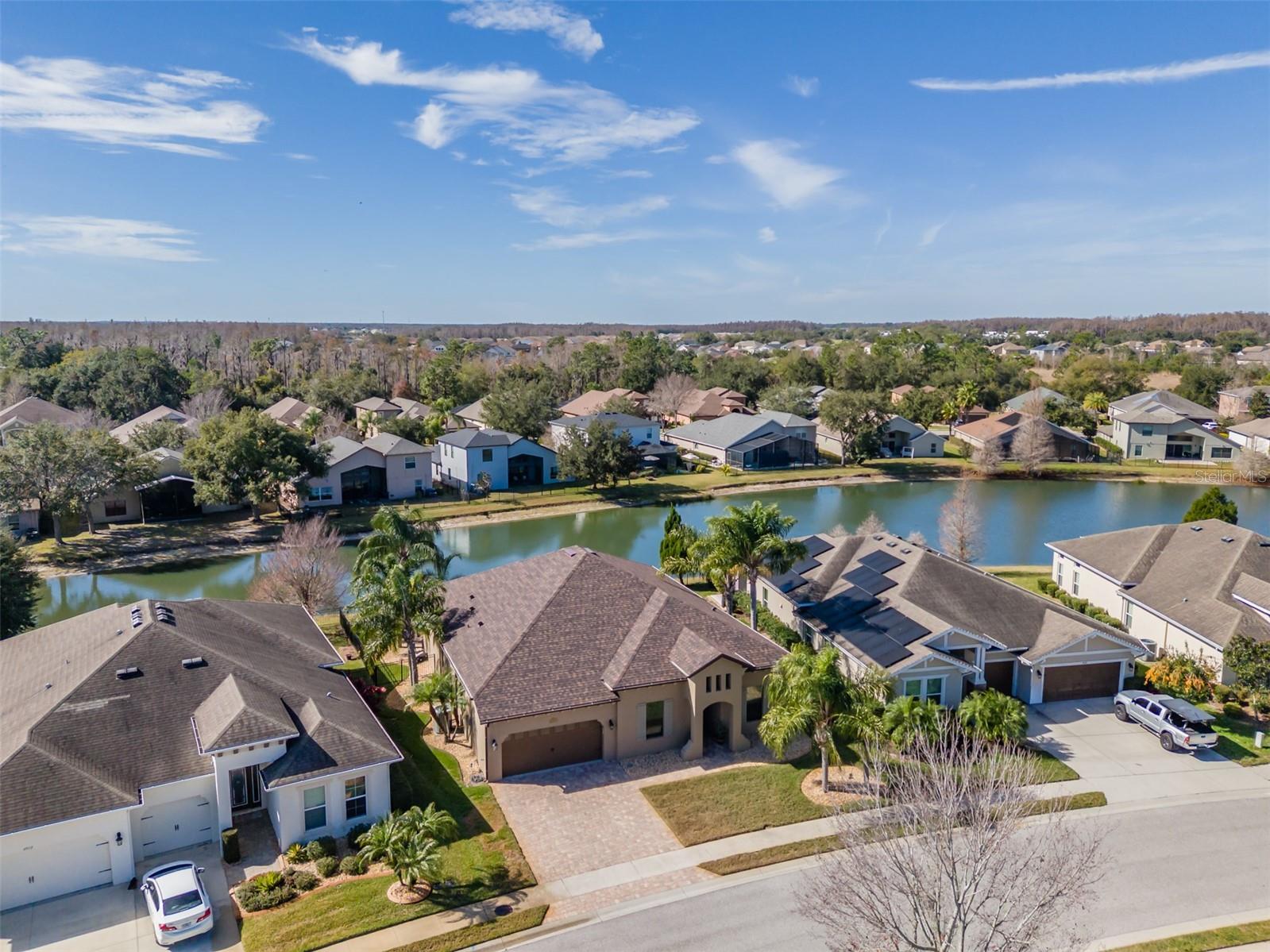 Image 41 of 65 For 4950 Diamonds Palm