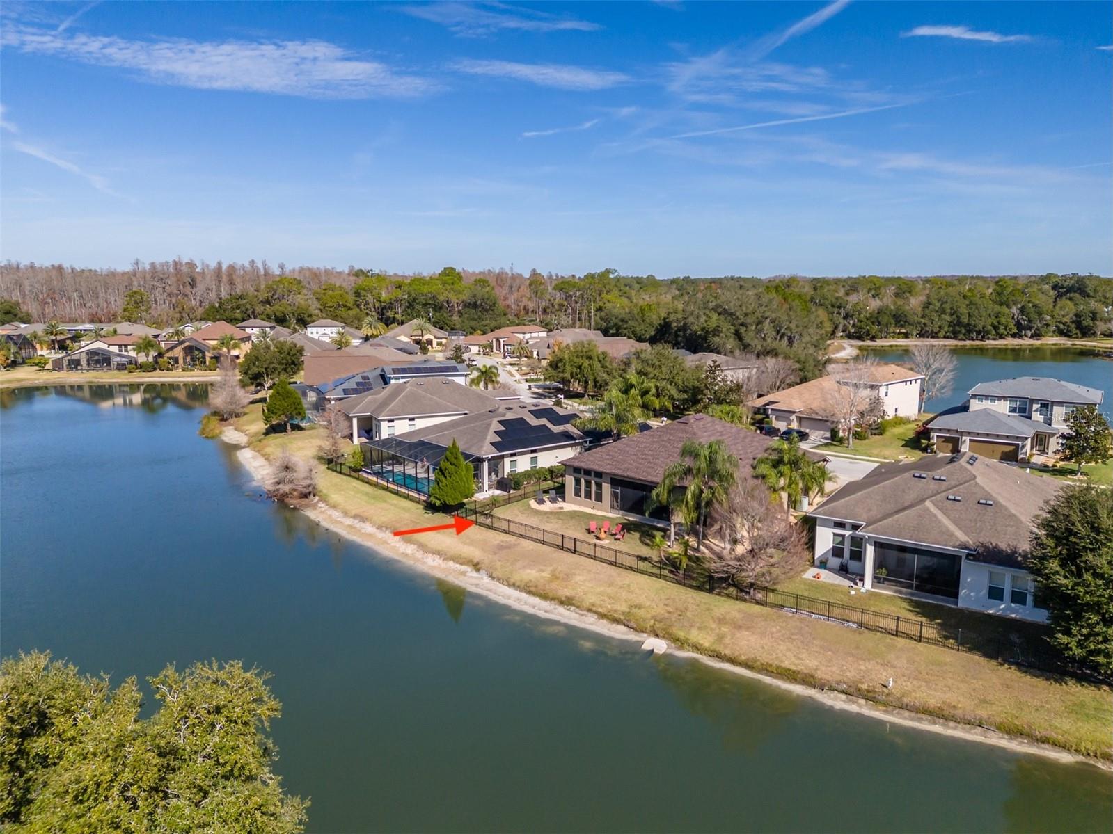 Image 47 of 65 For 4950 Diamonds Palm