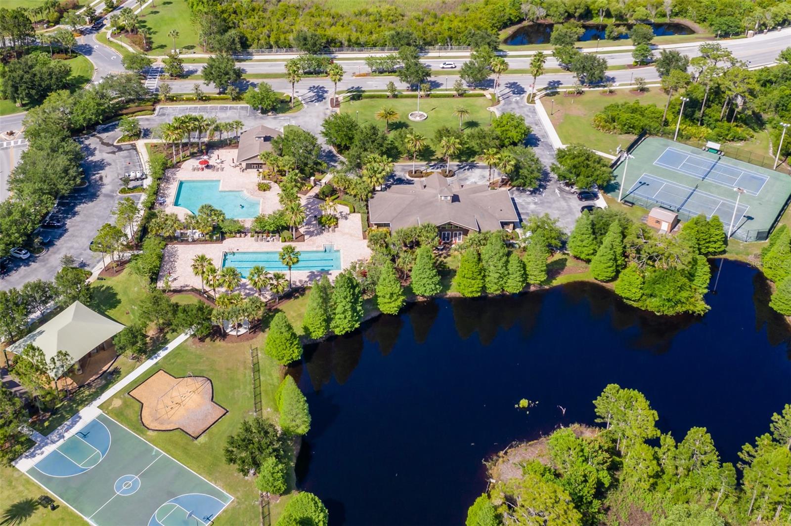 Image 50 of 65 For 4950 Diamonds Palm