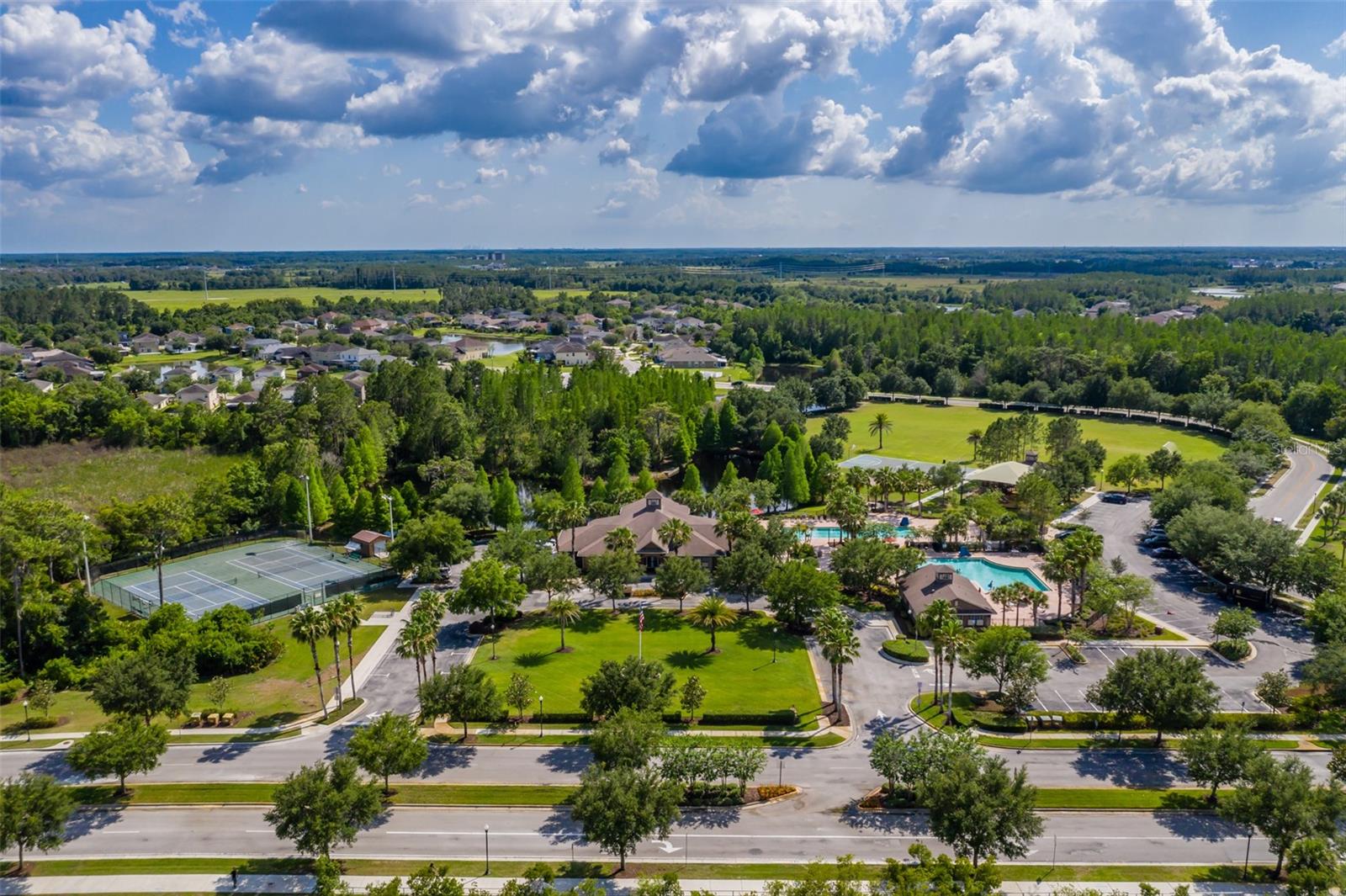 Image 51 of 65 For 4950 Diamonds Palm