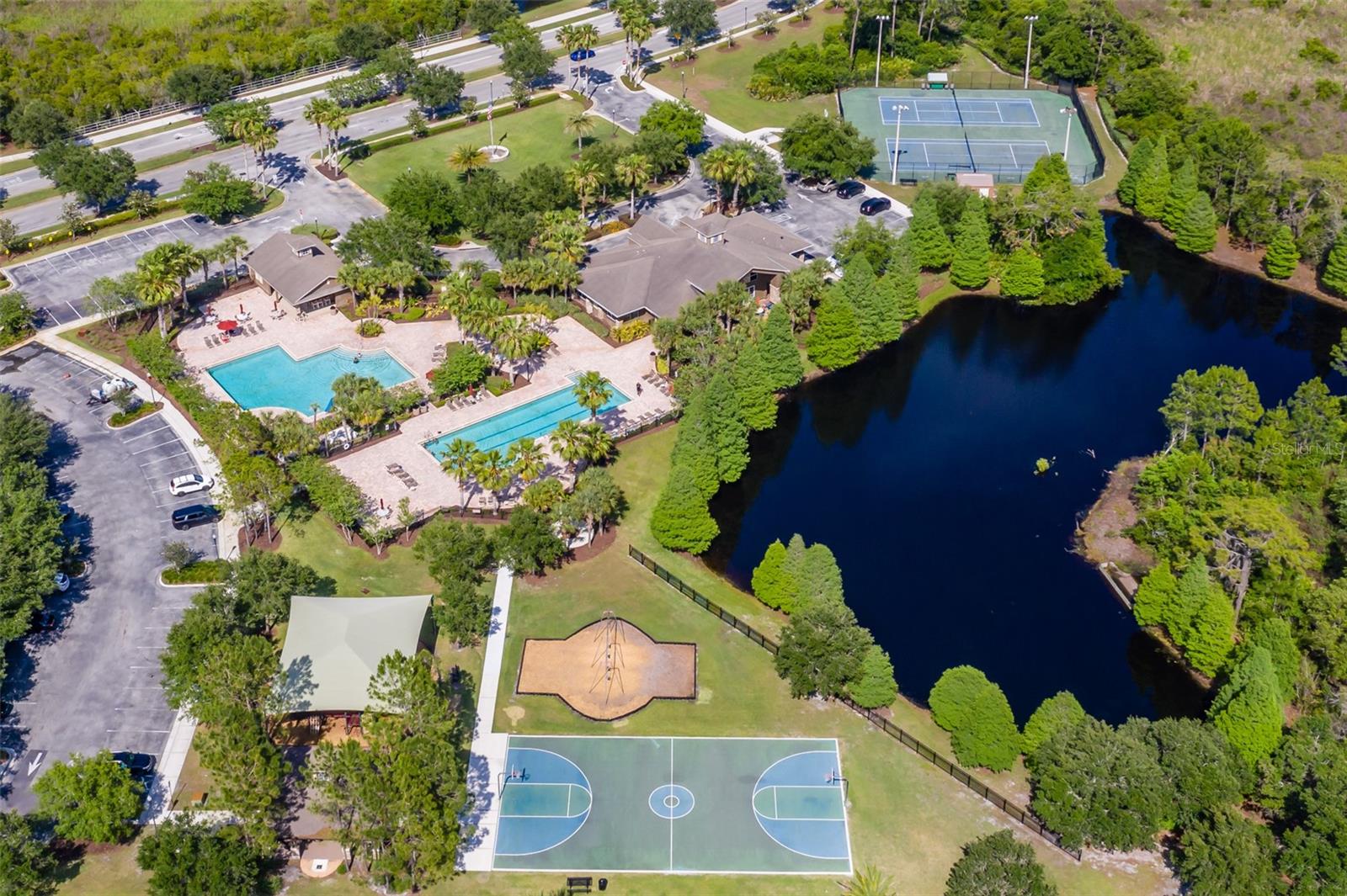 Image 52 of 65 For 4950 Diamonds Palm