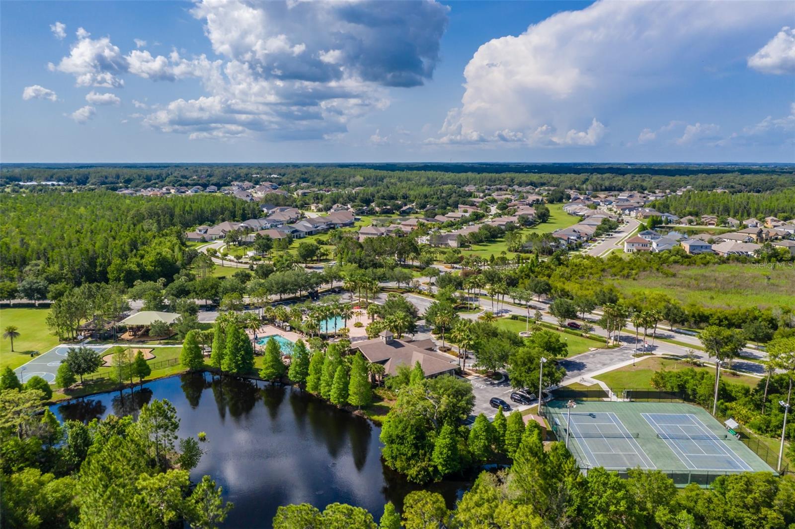 Image 53 of 65 For 4950 Diamonds Palm